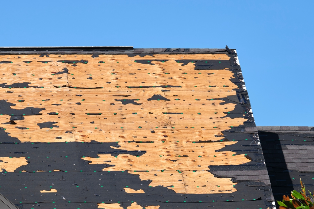 Storm Damage Claims